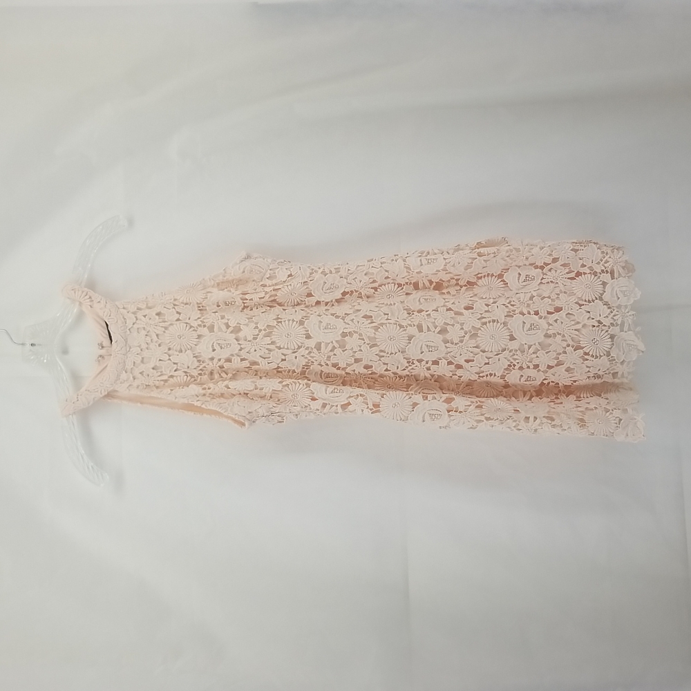 LULUS Love Poem Blush Pink Lace Mini Dress -A LULUS Exclusive